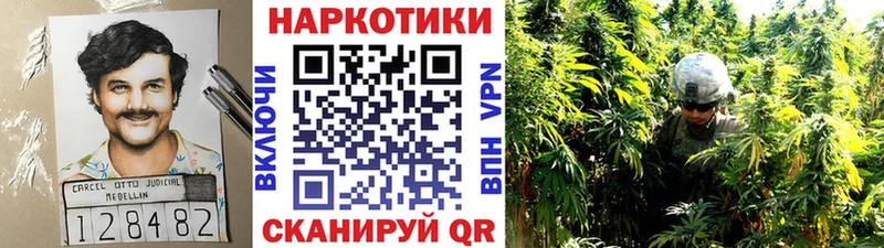 Купить наркоту Гаврилов-Ям А ПВП  Конопля  Галлюциногенные грибы  Гашиш  Лсд 25  Меф 