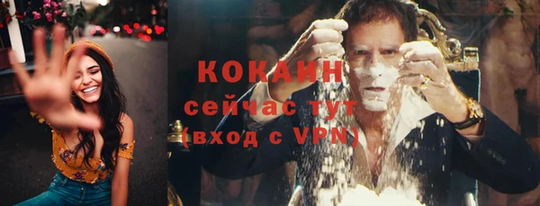 индика Белоозёрский
