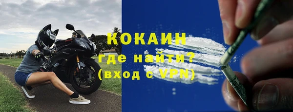индика Белоозёрский