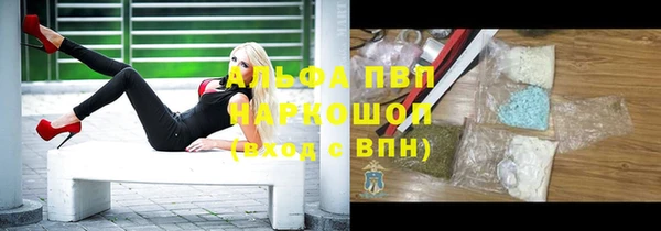 индика Белоозёрский