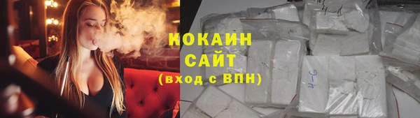 индика Белоозёрский