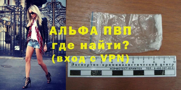 индика Белоозёрский
