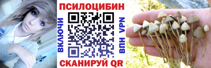 Галлюциногенные грибы MAGIC MUSHROOMS  МЕГА вход  Гаврилов-Ям 